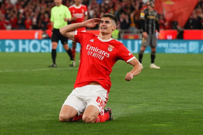 António Silva durante jogo do Benfica no Estádio da Luz