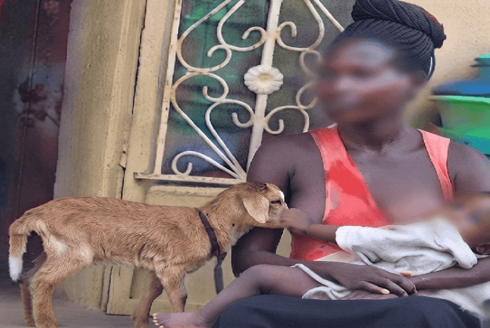 Mulher amamenta cabrito com leite materno na província de Tete